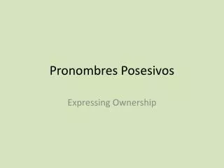 Pronombres Posesivos