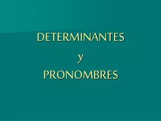 determinantes y pronombres