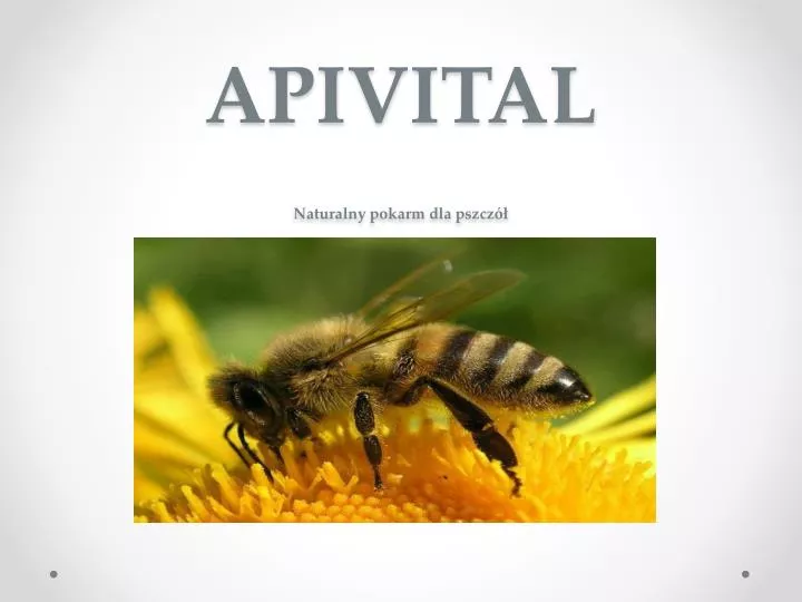 apivital naturalny pokarm dla pszcz