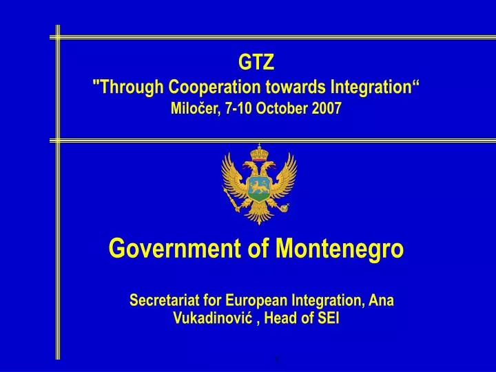 government of montenegro secretariat for european integration ana vukadinovi head of sei