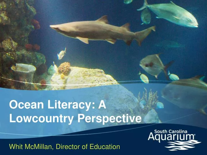 ocean literacy a lowcountry perspective