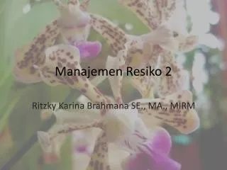 manajemen resiko 2