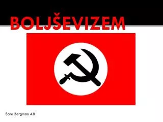bolj evizem