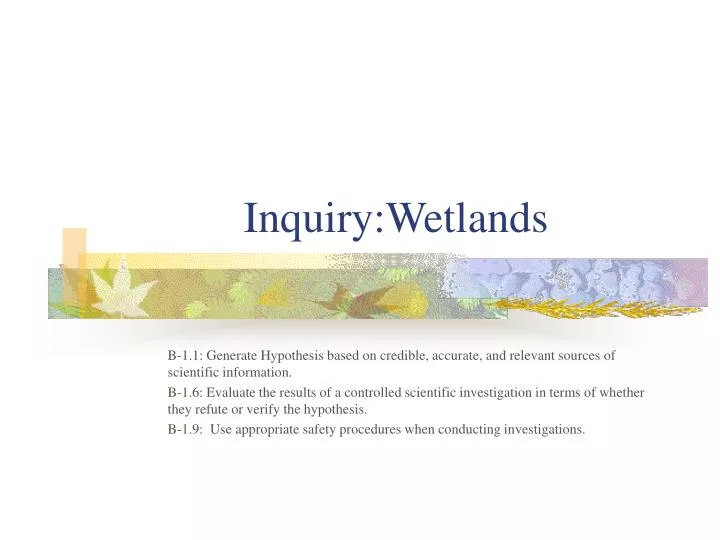 inquiry wetlands