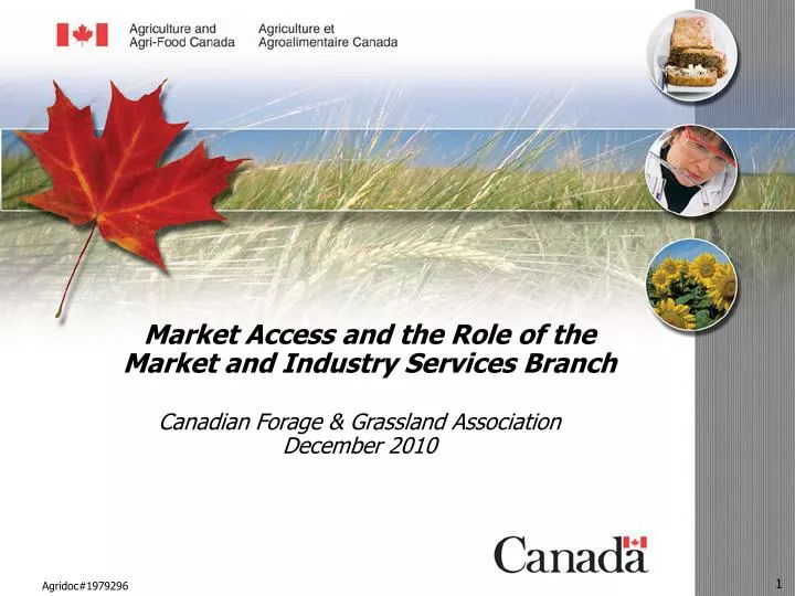 market access and the role of the market and industry services branch