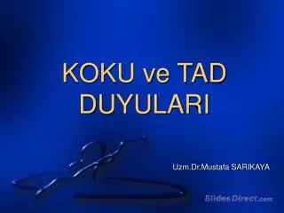 koku ve tad duyulari