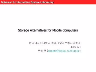 storage alternatives for mobile computers