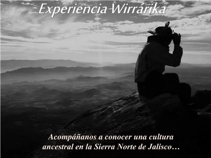 experiencia wirr rika