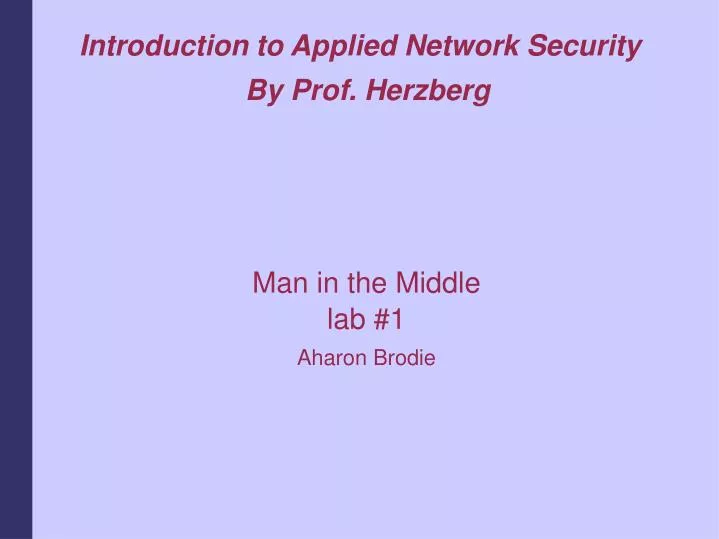 man in the middle lab 1 aharon brodie