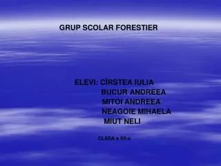 grup scolar forestier