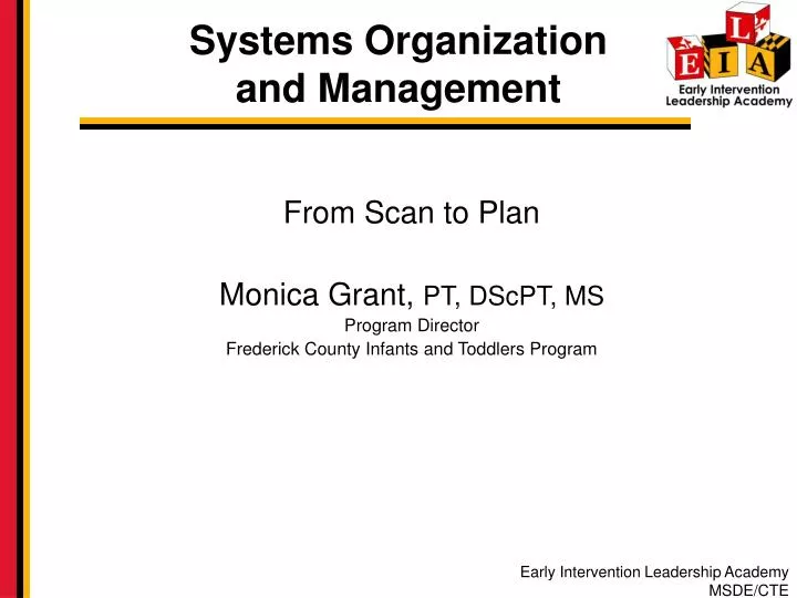 systems organization and management