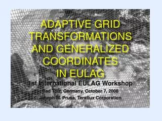 ADAPTIVE GRID TRANSFORMATIONS AND GENERALIZED COORDINATES IN EULAG