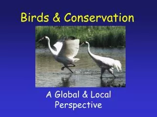 Birds &amp; Conservation