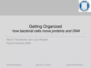 Getting Organized how bacterial cells move proteins and DNA