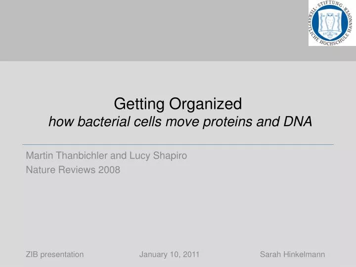 getting organized how bacterial cells move proteins and dna