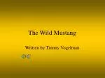 Blaze's Journey: The Wild Mustang's Quest for Family and Freedom - slide 1