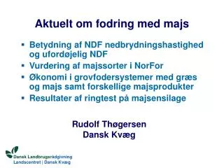 aktuelt om fodring med majs