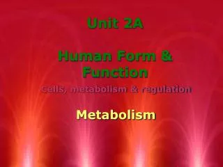 Unit 2A Human Form &amp; Function