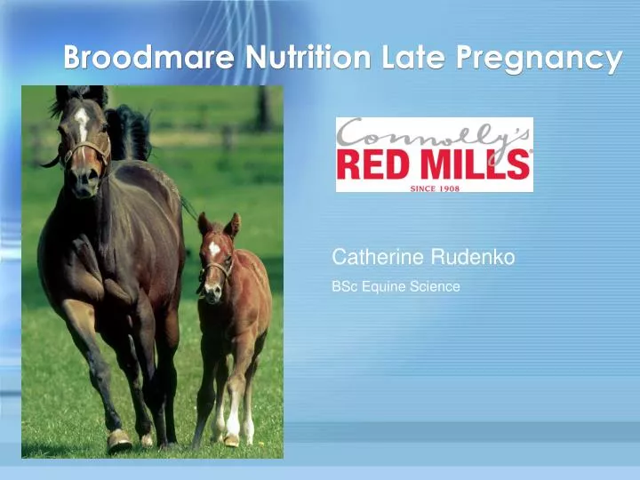 broodmare nutrition late pregnancy