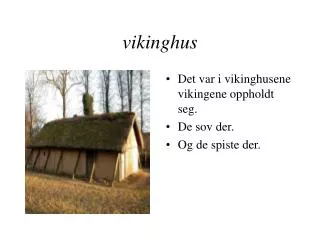 vikinghus