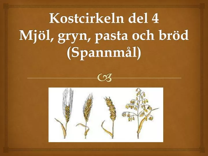 kostcirkeln del 4 mj l gryn pasta och br d spannm l