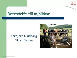 betesdrift till mj lkkor