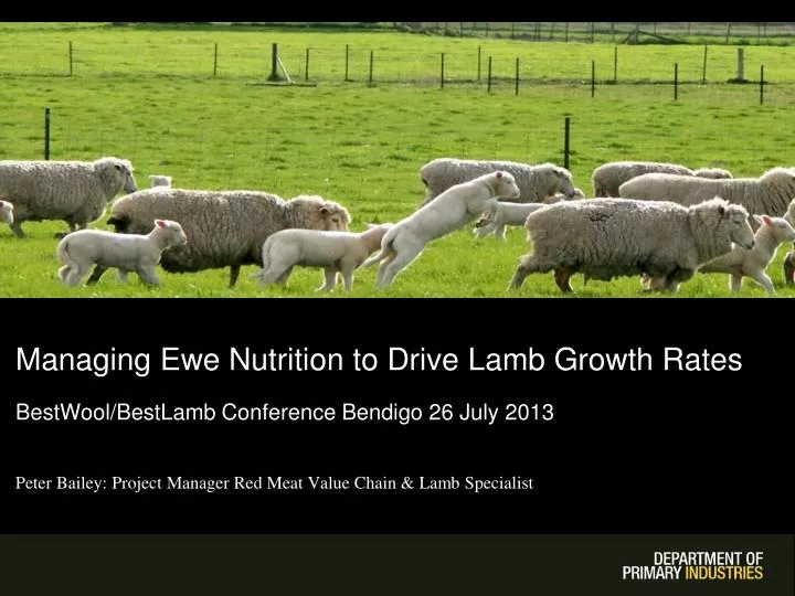 managing ewe nutrition to drive lamb growth rates bestwool bestlamb conference bendigo 26 july 2013