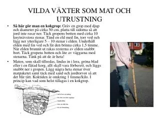 vilda v xter som mat och utrustning