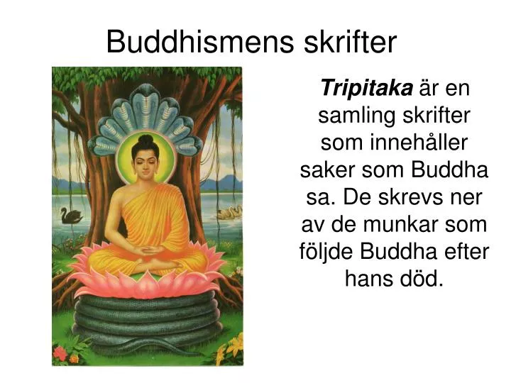 buddhismens skrifter
