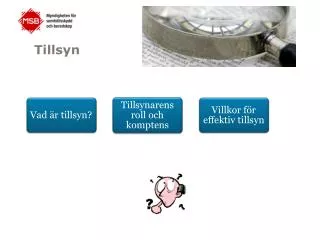 tillsyn