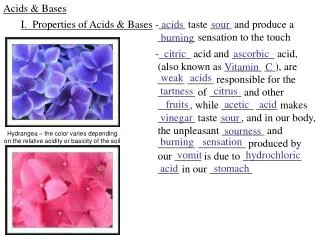 Acids &amp; Bases