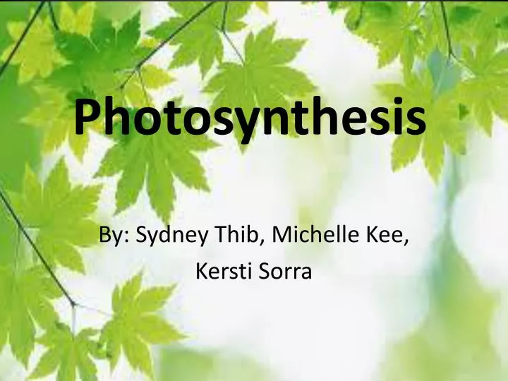 photosynthesis