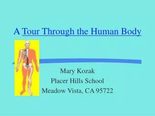 A Tour Through the Human Body