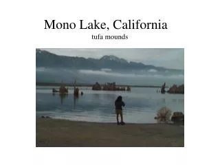Mono Lake, California	 tufa mounds