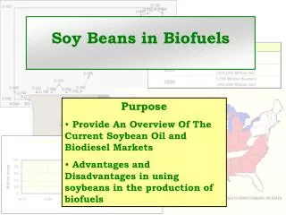 Soy Beans in Biofuels