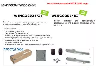 wingo 24kit