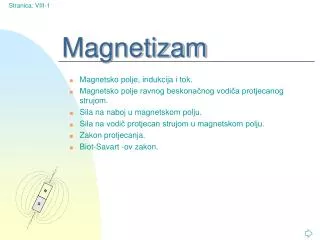 Magnetizam