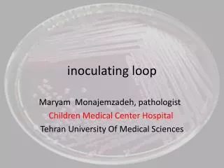 inoculating loop