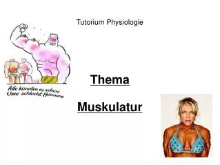 thema muskulatur