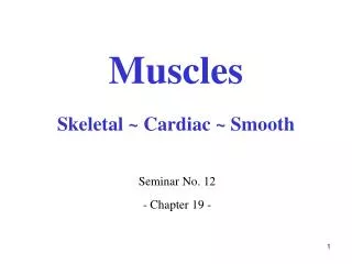 Muscles Skeletal ~ Cardiac ~ Smooth
