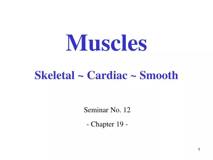 muscles skeletal cardiac smooth