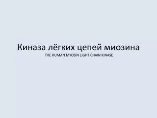 the human myosin light chain kinase