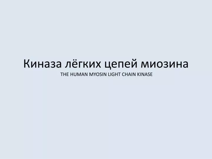 the human myosin light chain kinase