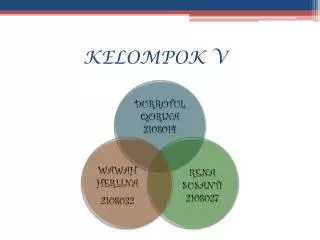 kelompok v