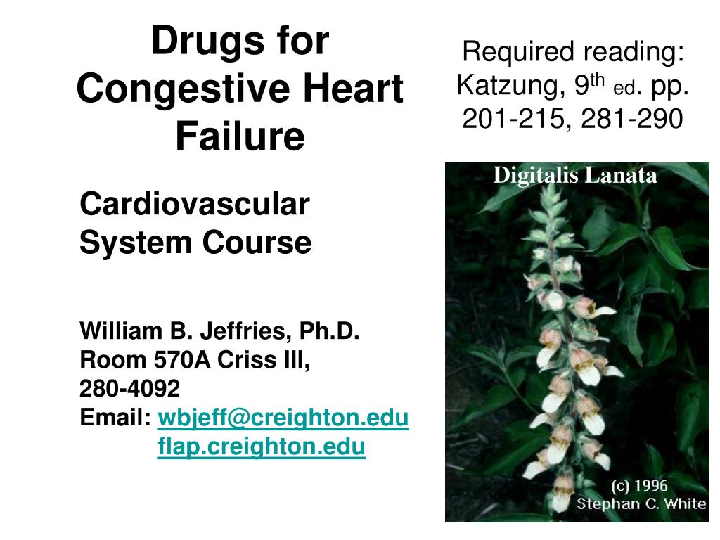 PPT - Drugs for Congestive Heart Failure PowerPoint Presentation, free ...