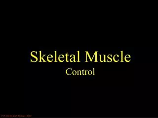 Skeletal Muscle Control