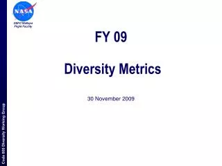 FY 09 Diversity Metrics