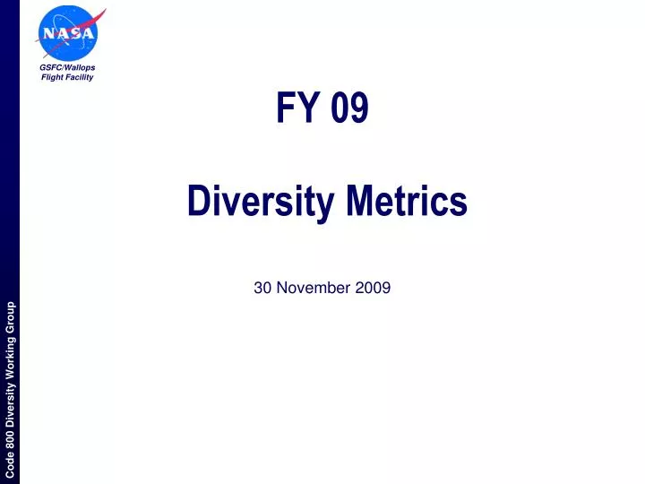 fy 09 diversity metrics