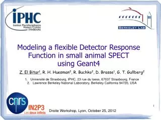Modeling a flexible Detector Response Function in small animal SPECT using Geant4