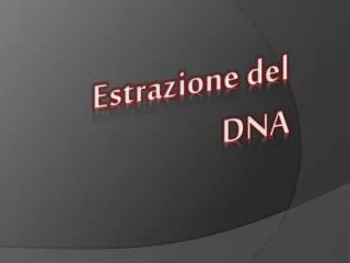 estrazione del dna